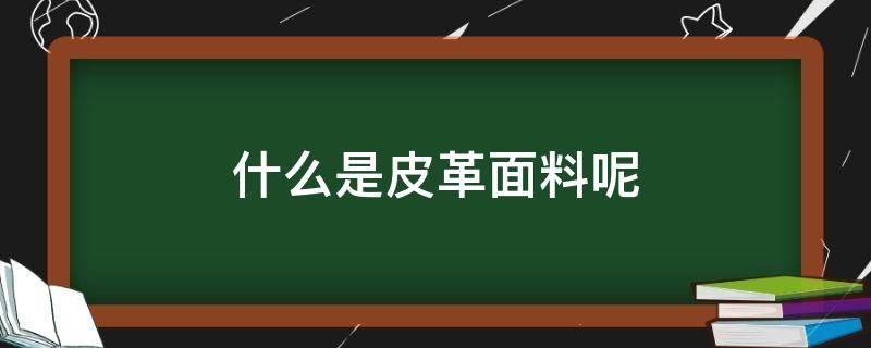 什么是皮革面料呢（什么是皮革面料呢）