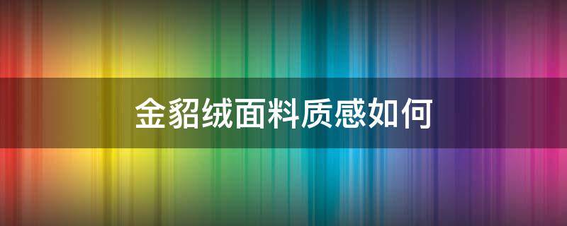 金貂绒面料质感如何 金貂绒是不是很便宜