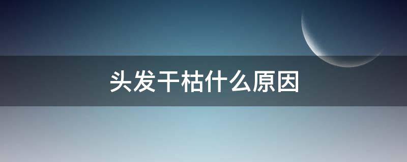 头发干枯什么原因（头发干枯是怎么回事）