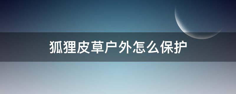 狐狸皮草户外怎么保护（狐狸皮草户外怎么保护好）