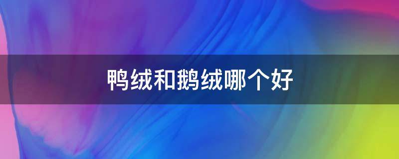 鸭绒和鹅绒哪个好 红嘴雁鸭绒和鹅绒哪个好