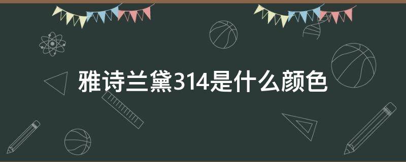 雅诗兰黛314是什么颜色 雅诗兰黛314是什么颜色口红