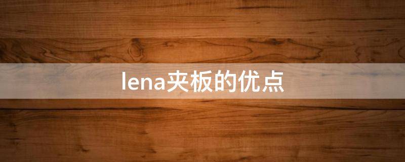 lena夹板的优点（夹板测评）