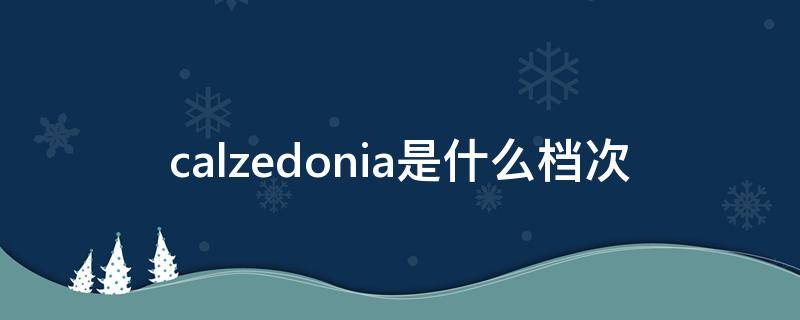 calzedonia是什么档次（calzedonia品牌怎么读）