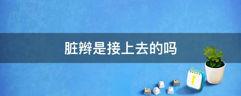 脏辫是接上去的吗 脏辫是接上去的吗怎么接