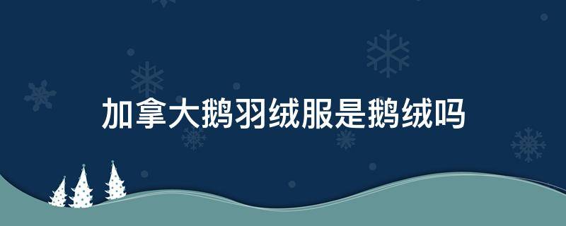 加拿大鹅羽绒服是鹅绒吗 加拿大鹅羽绒服是鹅绒吗图片