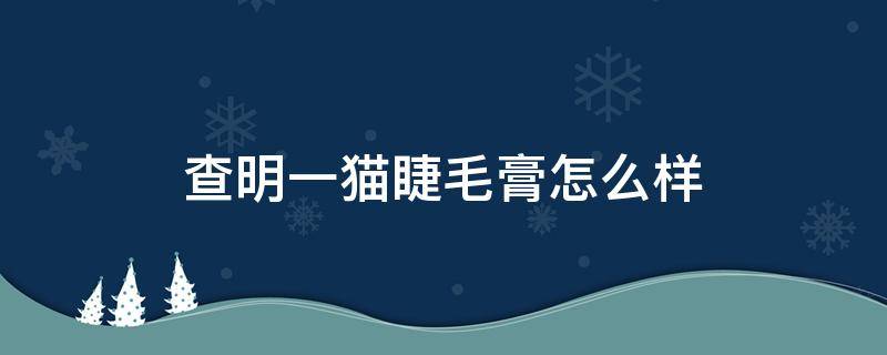 查明一猫睫毛膏怎么样 查名一猫睫毛膏怎么样