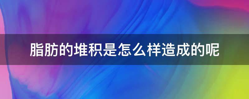 脂肪的堆积是怎么样造成的呢（脂肪的堆积是怎么样造成的呢图片）