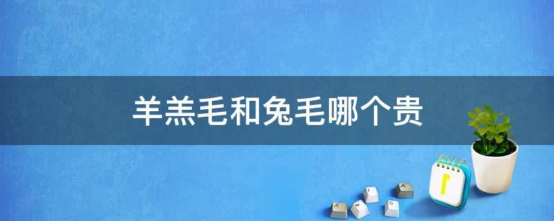 羊羔毛和兔毛哪个贵 羊羔毛和兔毛哪个贵些