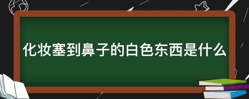 化妆塞到鼻子的白色东西是什么（化妆塞进鼻子里面的东西）