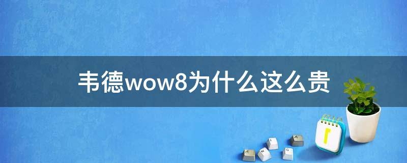 韦德wow8为什么这么贵（韦德8配置）