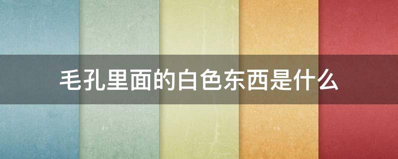 毛孔里面的白色东西是什么 毛孔挤出来硬硬小米粒是什么