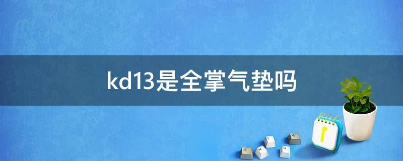 kd13是全掌气垫吗 kd13是全掌气垫吗?