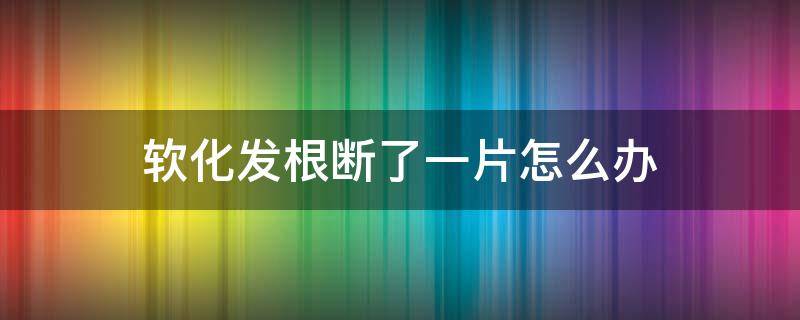 软化发根断了一片怎么办（软化发根断了一片怎么办啊）