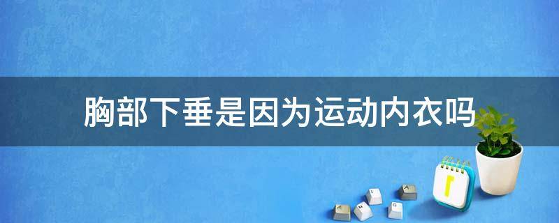 胸部下垂是因为运动内衣吗 胸部下垂可以通过内衣改善吗