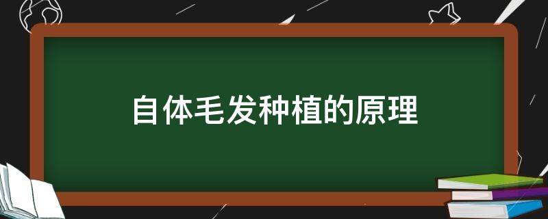 自体毛发种植的原理（自体毛发种植的原理是什么）