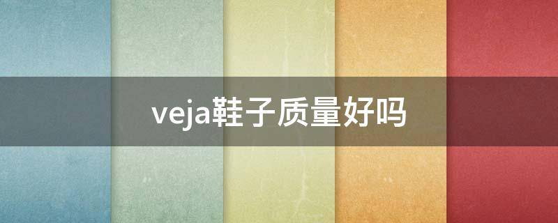 veja鞋子质量好吗（veja shoes）