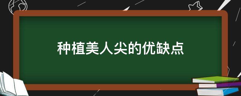 种植美人尖的优缺点（种植美人尖的优缺点有哪些）