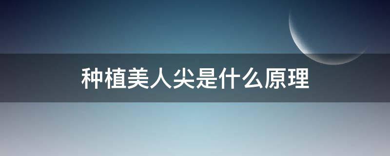 种植美人尖是什么原理（美人尖种植是什么意思）