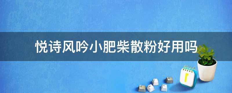 悦诗风吟小肥柴散粉好用吗 悦诗风吟散粉功效