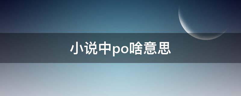 小说中po啥意思 小说po啥意思?