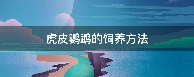 虎皮鹦鹉的饲养方法 虎皮鹦鹉的饲养方法视频