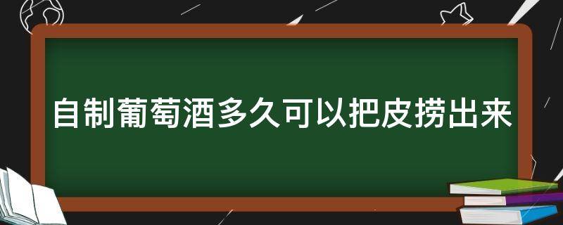 自制葡萄酒多久可以把皮捞出来（自制的葡萄酒多久可以过滤掉葡萄皮）