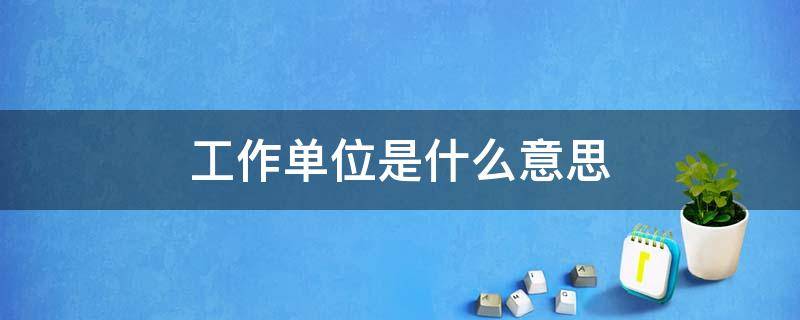 工作单位是什么意思（两年择业期内未落实工作单位是什么意思）