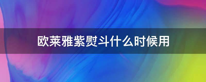 欧莱雅紫熨斗什么时候用（欧莱雅紫熨斗什么时候出的）