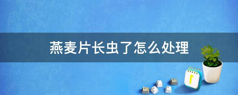 燕麦片长虫了怎么处理 燕麦片长虫子了怎么办