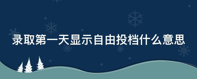 录取第一天显示自由投档什么意思（录取结果第一天是自由投档）