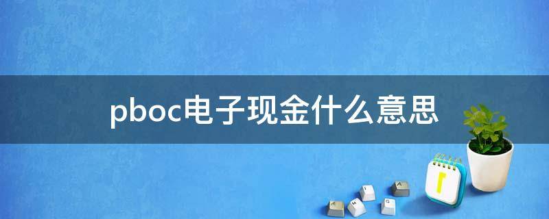 pboc电子现金什么意思（pboc电子现金是什么）