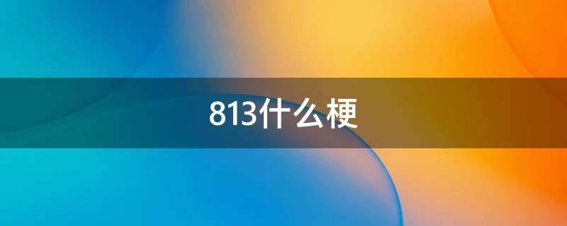 813什么梗