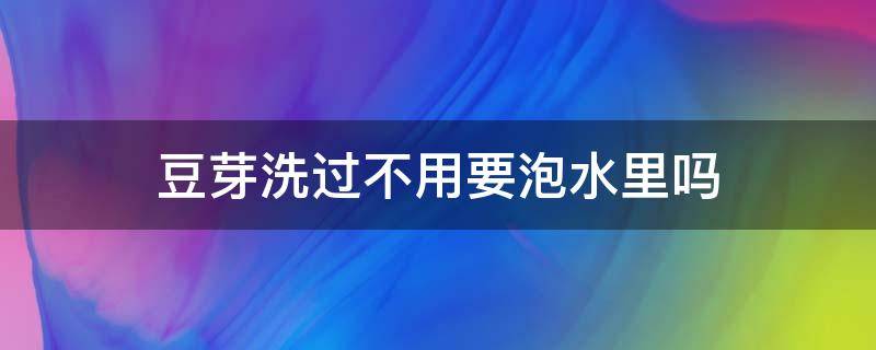 豆芽洗过不用要泡水里吗（豆芽洗过不用要泡水里吗多久）