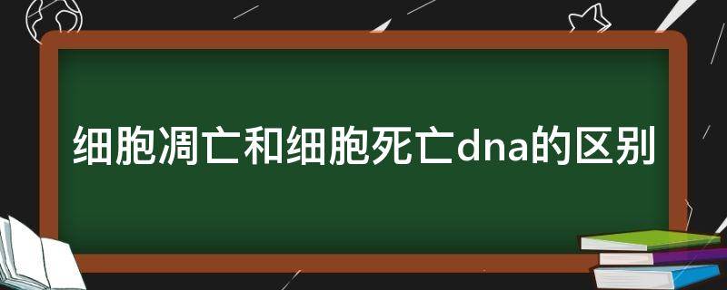 细胞凋亡和细胞死亡dna的区别（细胞凋亡和细胞死亡dna的区别在哪）