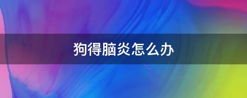 狗得脑炎怎么办 狗得脑炎怎么急救