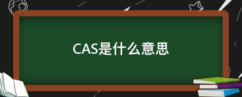 CAS是什么意思（case是什么意思）