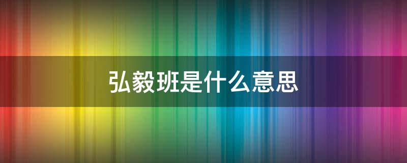 弘毅班是什么意思 武大弘毅班是什么意思