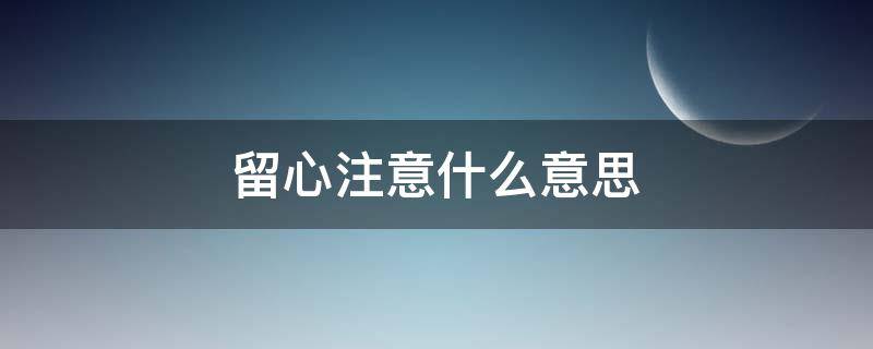 留心注意什么意思（留心注意的意思是什么成语）