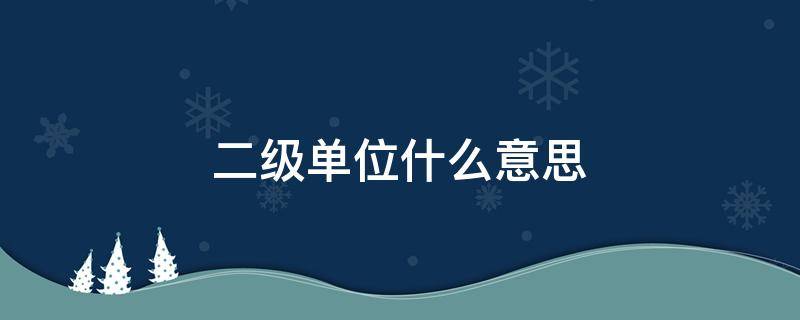 二级单位什么意思 二级单位什么意思大学