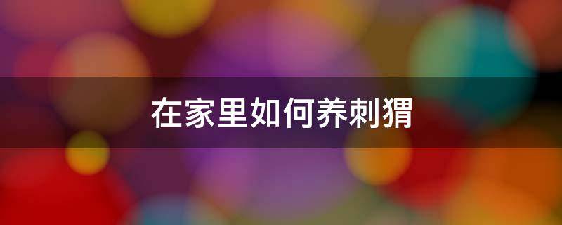 在家里如何养刺猬 家庭养刺猬怎么养