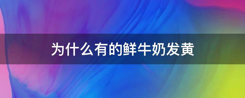 为什么有的鲜牛奶发黄 为什么有的牛奶发黄有的发白