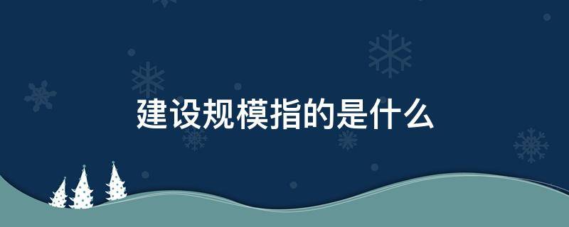 建设规模指的是什么（建设规模指的是什么内容）