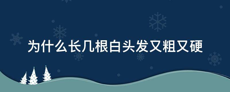 为什么长几根白头发又粗又硬（为什么几根白发都长在一起）