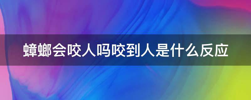 蟑螂会咬人吗咬到人是什么反应 蟑螂会咬人吗 蟑螂咬人有毒吗