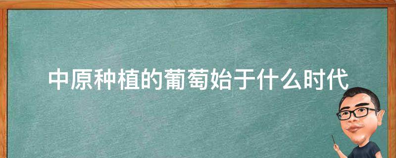 中原种植的葡萄始于什么时代（中原种植的葡萄始于什么时代呢）