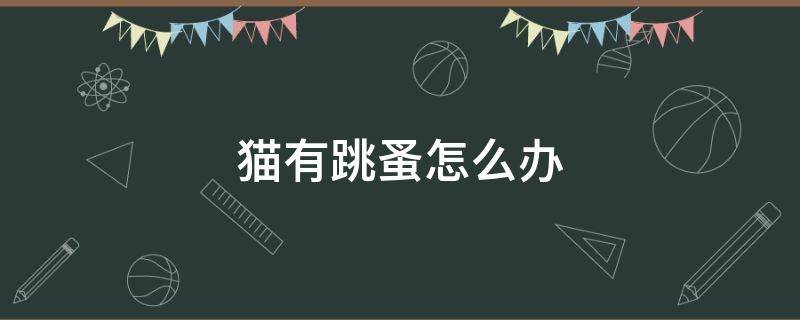 猫有跳蚤怎么办 猫有跳蚤怎么办能除根