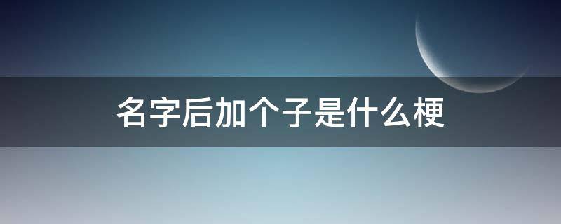 名字后加个子是什么梗