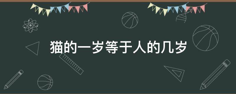 猫的一岁等于人的几岁（猫的一岁等于人的几岁?）