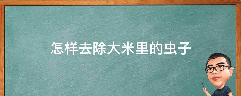 怎样去除大米里的虫子 怎样去除大米里的虫子小妙招